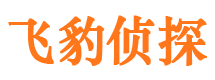 石峰市出轨取证